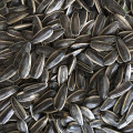 Wholesale 2019 New Harvest 361 Sunflower Seeds with Shell